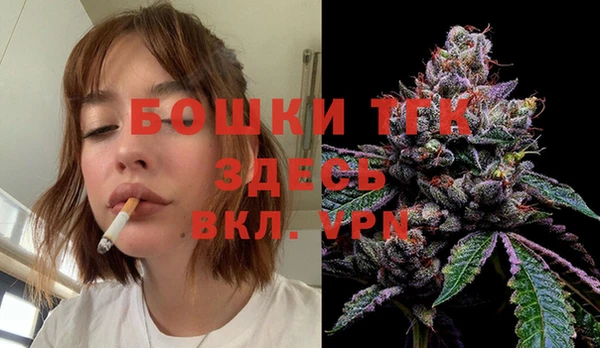 шишки Кулебаки