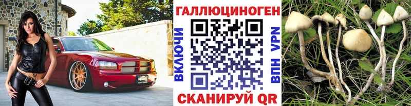 Галлюциногенные грибы MAGIC MUSHROOMS  хочу   Бирюсинск 